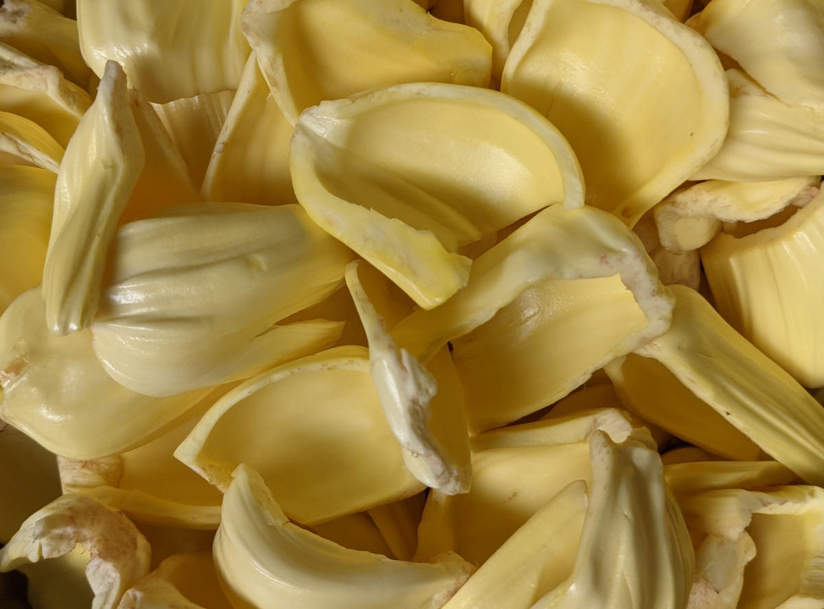 Halasina kayi palya Unripe jackfruit recipe Plateful of veggies