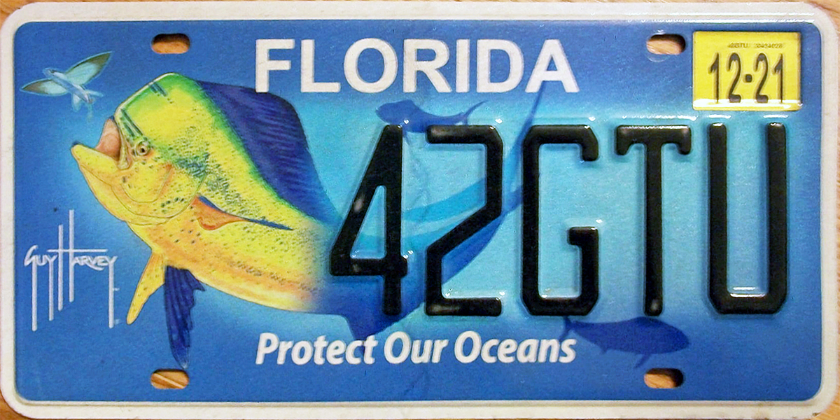 Florida 7 Y2K