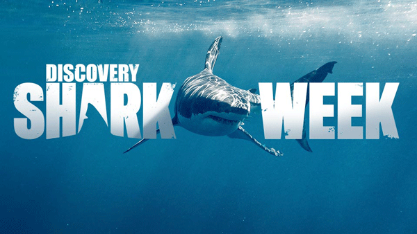 Shark Week Hoo Ha Ha Platform Magazine