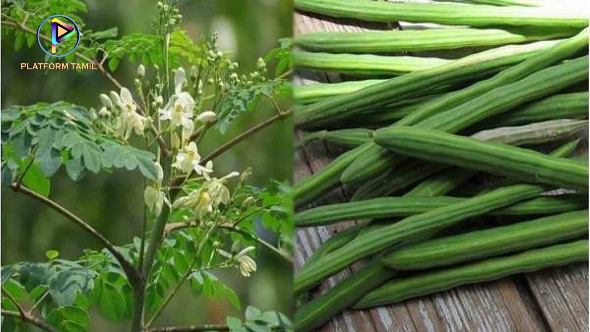 காய்கறிகளின் நன்மைகளும் அதன் தீமைகளும் Vegetables Benefits in Tamil