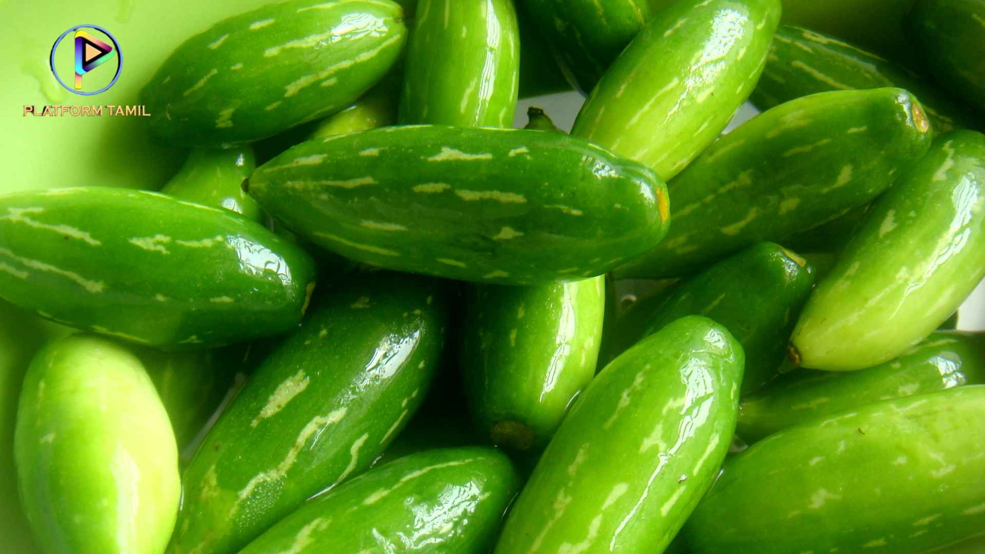 காய்கறிகளின் நன்மைகளும் அதன் தீமைகளும் Vegetables Benefits in Tamil