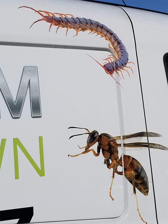 Best Tulsa Pest Control What Kind Of Principles Do You Have?