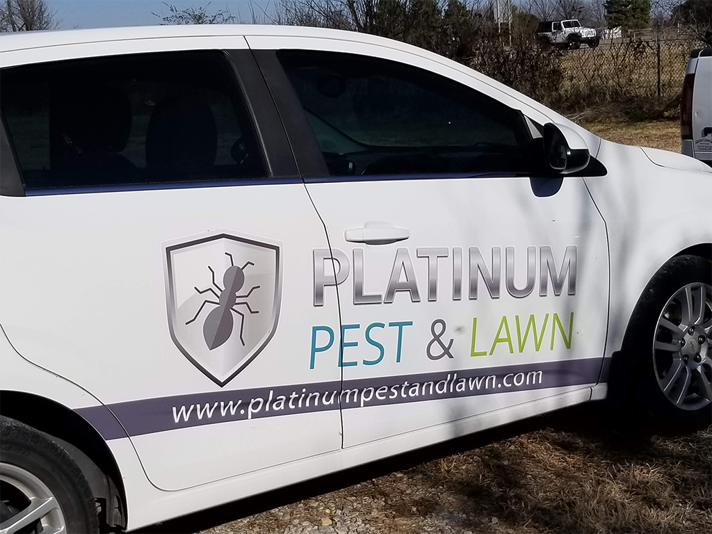 Tulsa Pest Control We Will Make Your Life Better
