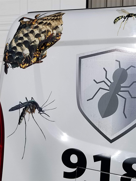 Tulsa Pest Control Give Us A Call If You Need Info