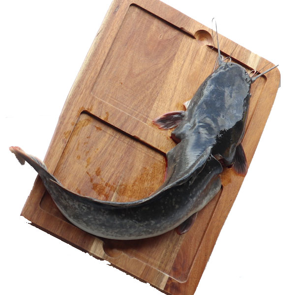 Order Catfish Platinum Fisheries
