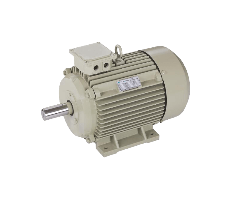 Electric Motors Platinum Flour Mill