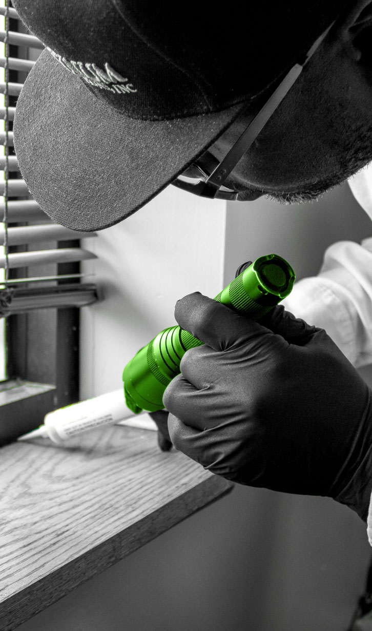 Top Rated Pest Control Services Platinum Pest Solutions