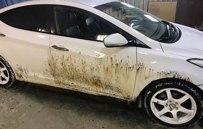 How to remove bitumen stains from car bodies safely - platotheme.com