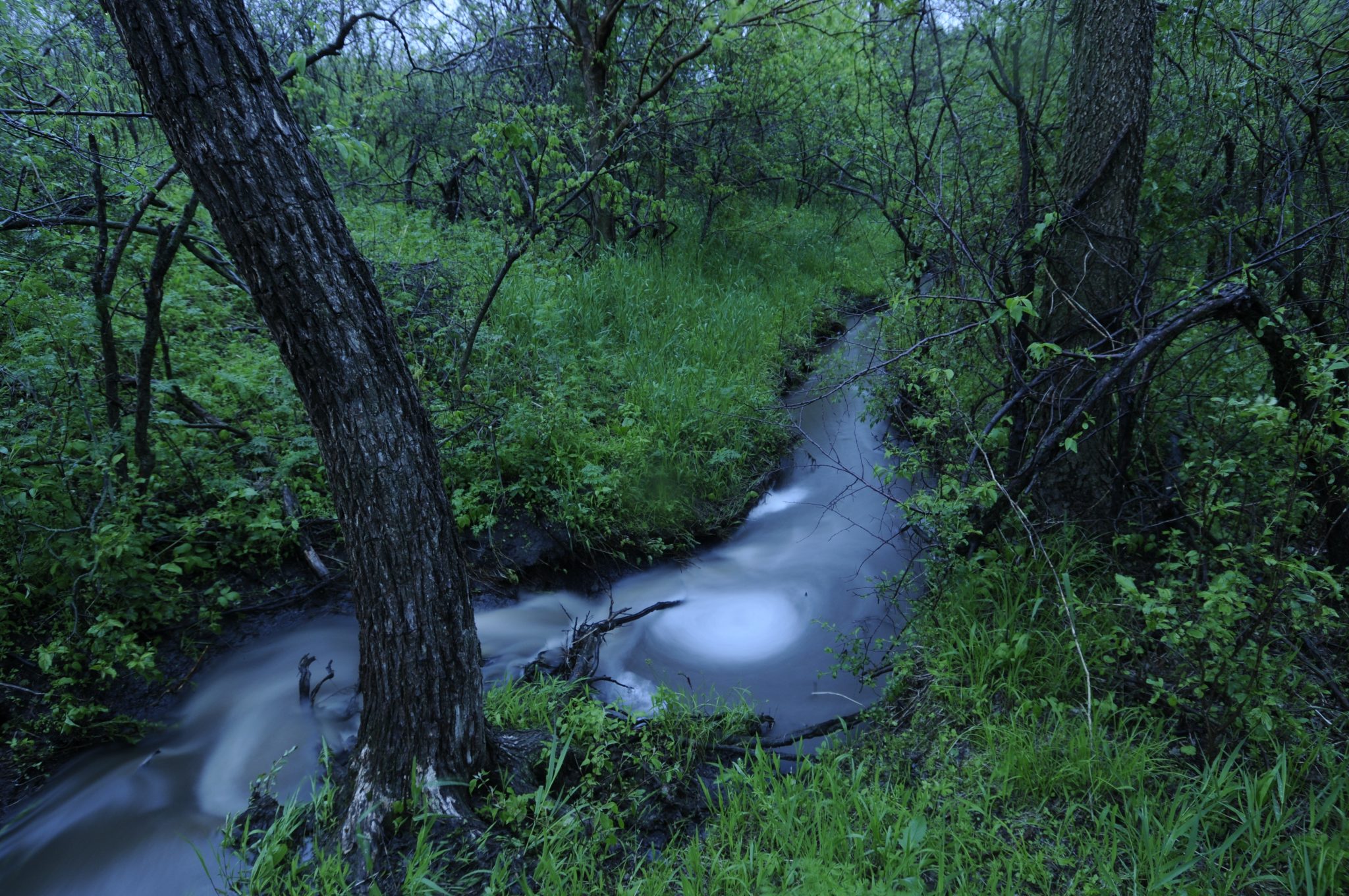 NineMile Spring Platte Basin Timelapse