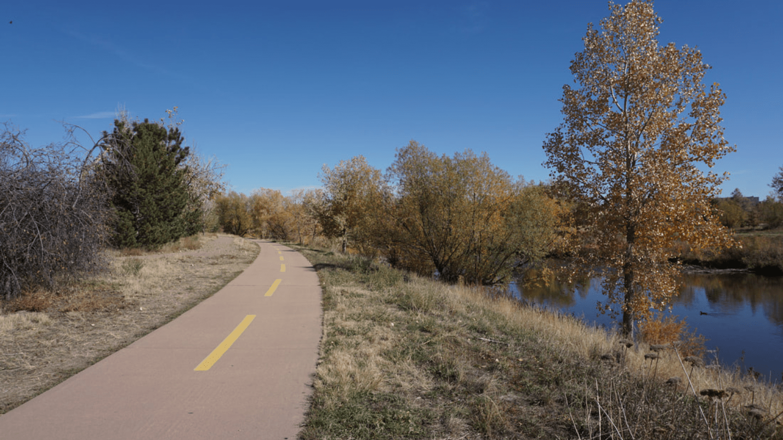 The Best Races in Denver (and How to Choose the Right One for You