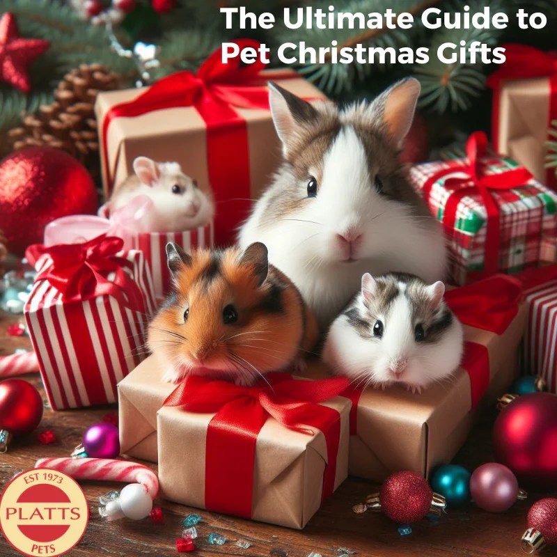The Ultimate Guide to Pet Christmas Gifts Top Picks for 2023 Platts Pets