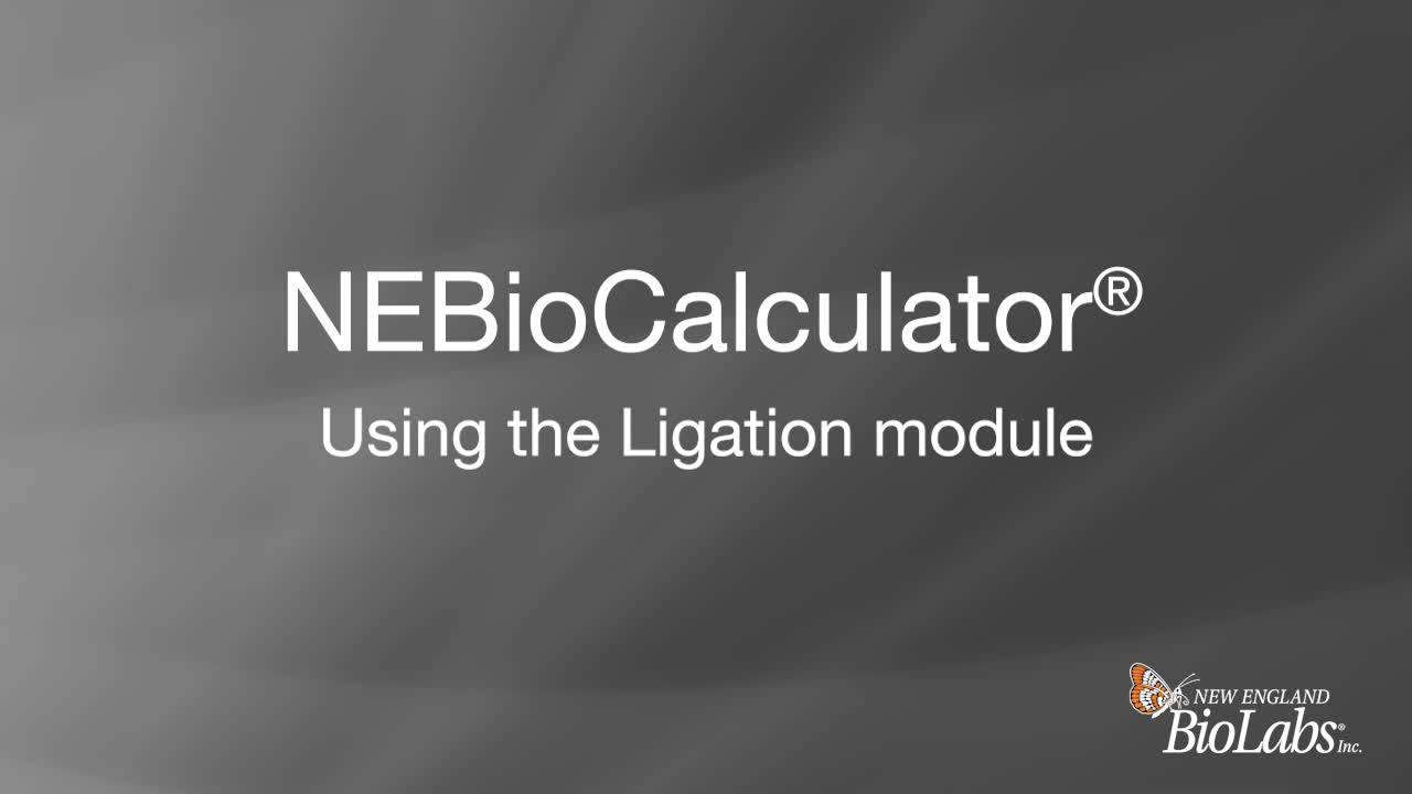 NEBioCalculator® Using the Ligation module NEB