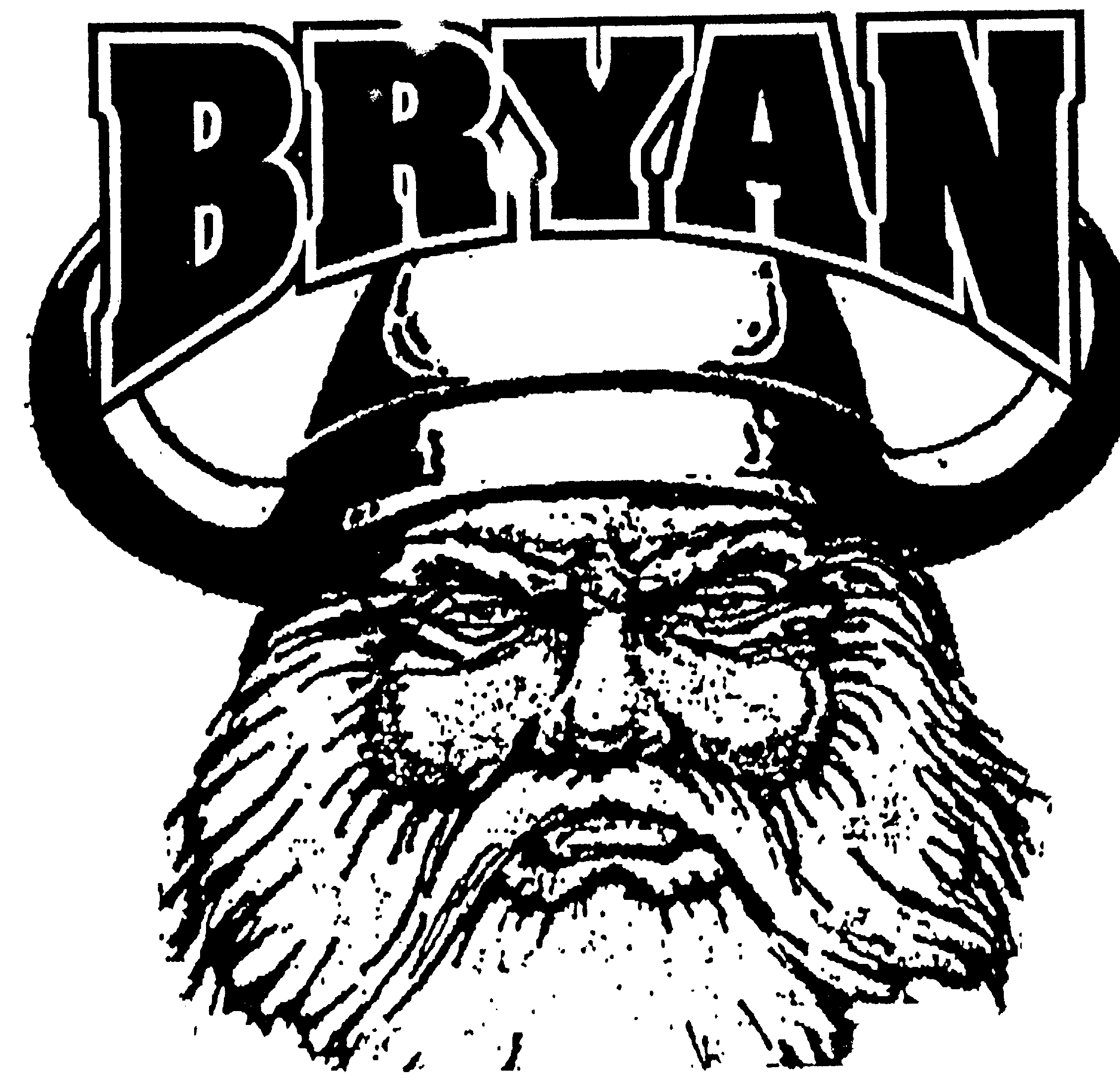 Bryan Vikings