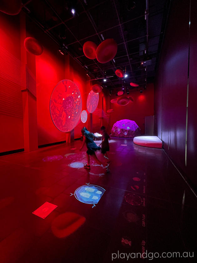 MOD Museum It's Complicated Exhibition Adelaide Review Play