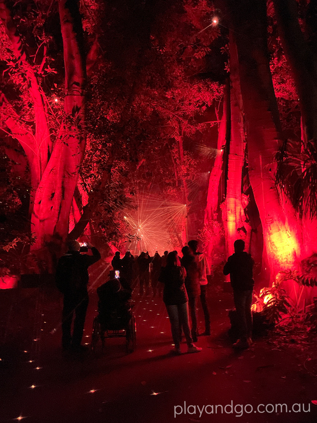 Light Cycles Illuminate Adelaide Adelaide Botanic Garden Review