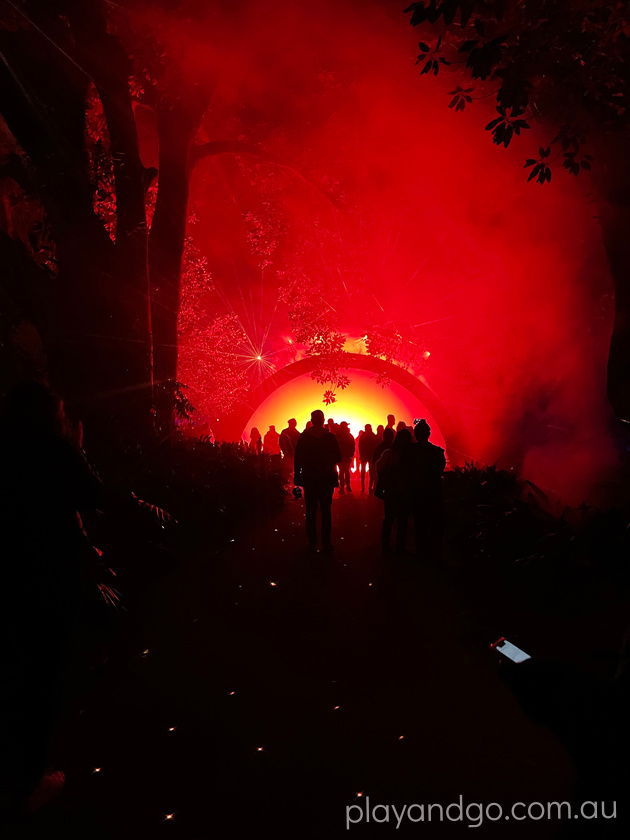 Light Cycles Illuminate Adelaide Adelaide Botanic Garden Review