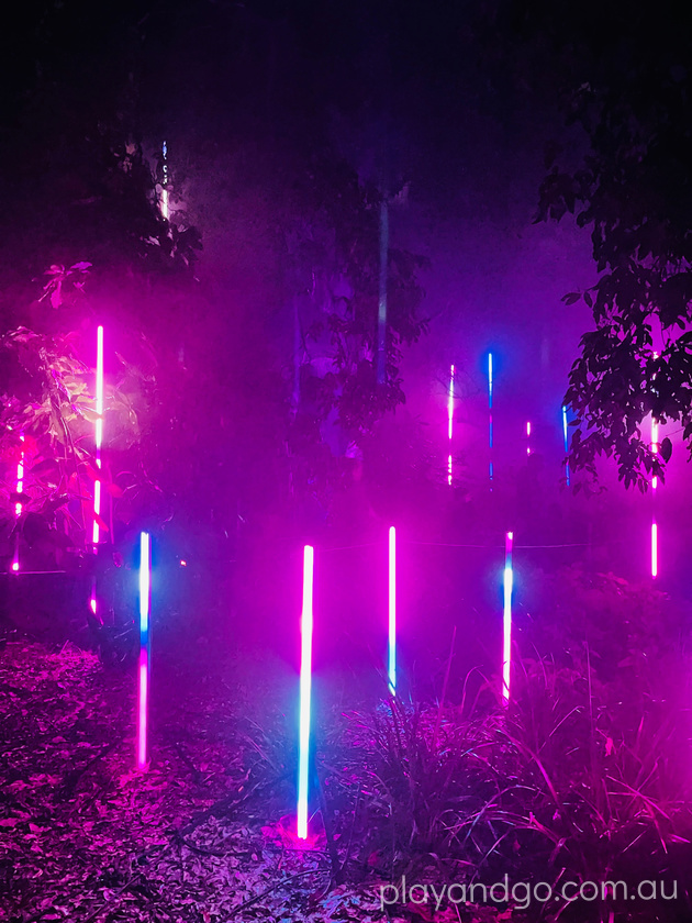 Light Cycles Illuminate Adelaide Adelaide Botanic Garden Review