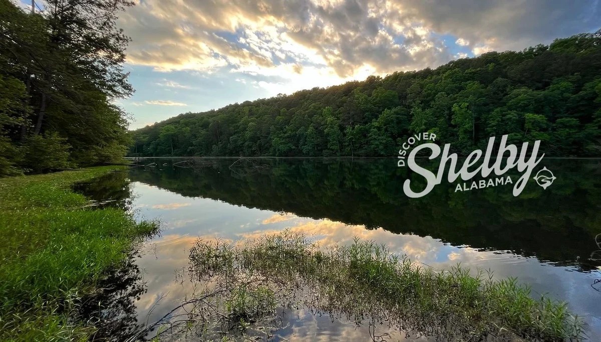 Discover Shelby County Home Playeasy