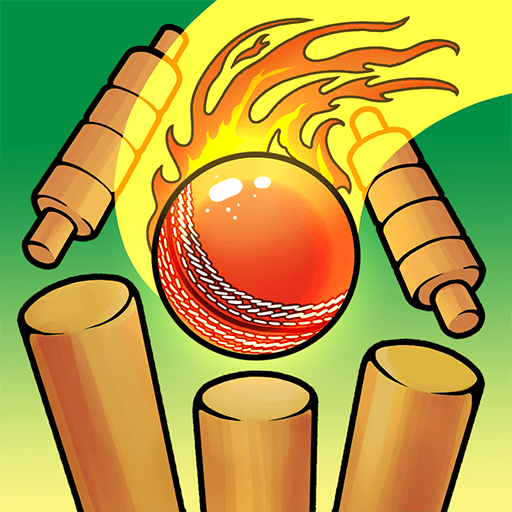 Cricket Bowling Playense