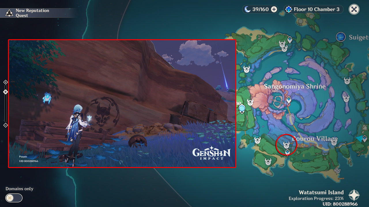 Where to Find Rinzou's Treasures in Watatsumi Island in Genshin Impact