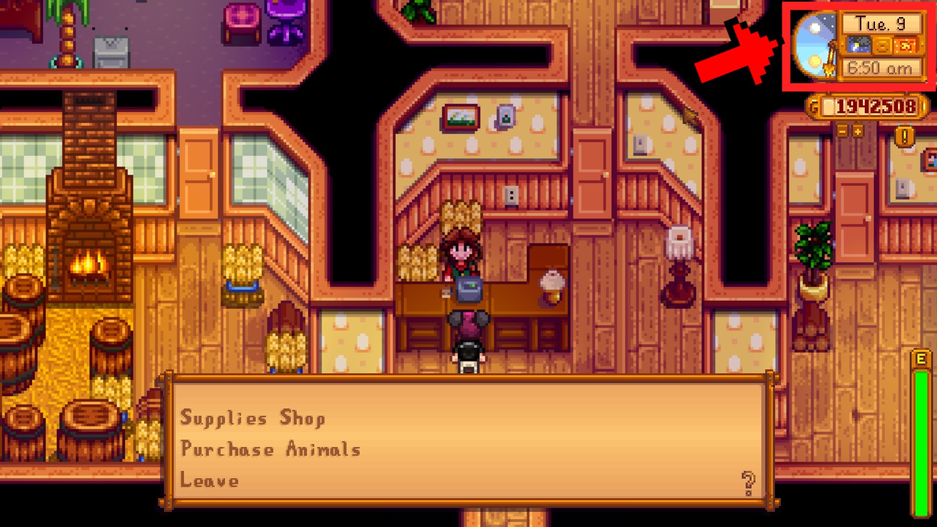 Best Uses for Qi Gems in Stardew Valley Player Assist Game Guides & Walkthroughs