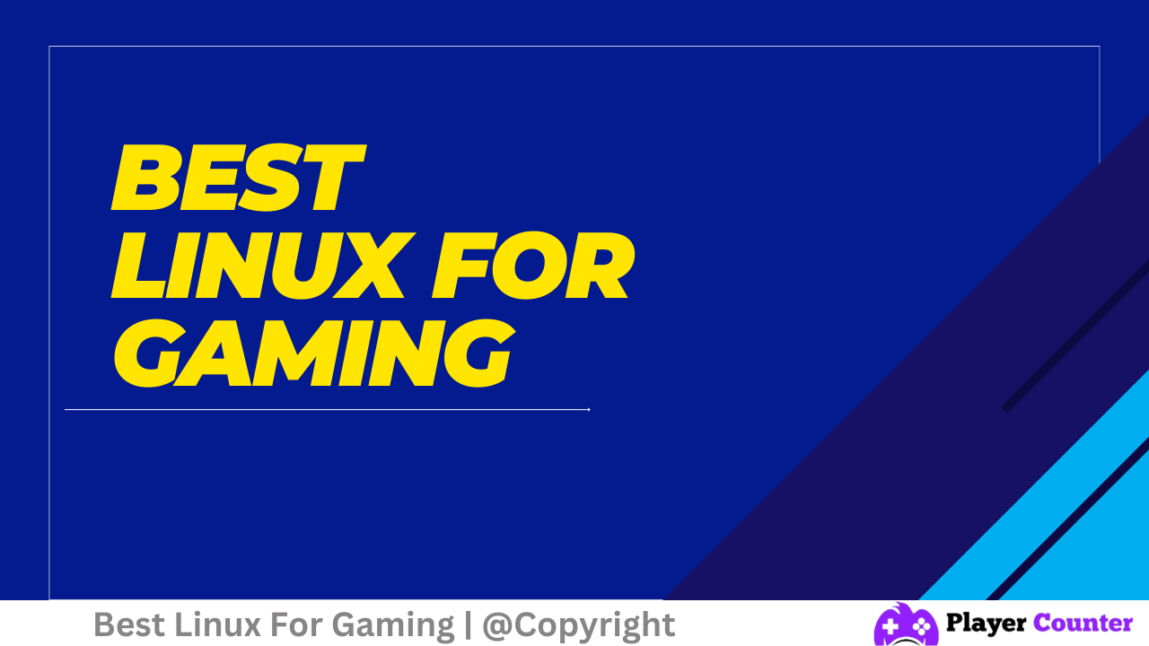 Best Linux For Gamers In 2024
