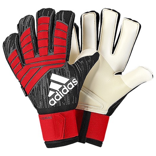 10 Best Goalkeeper Gloves in the World [2024 Update] Players Bio