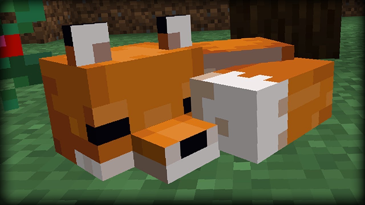 How to tame a Fox in Minecraft? PlayerZon Blog
