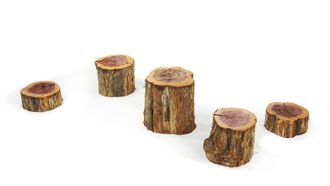 WOOD STEPPING STUMP LOG (SET OF 5 VARIOUS HEIGHTS) Florida