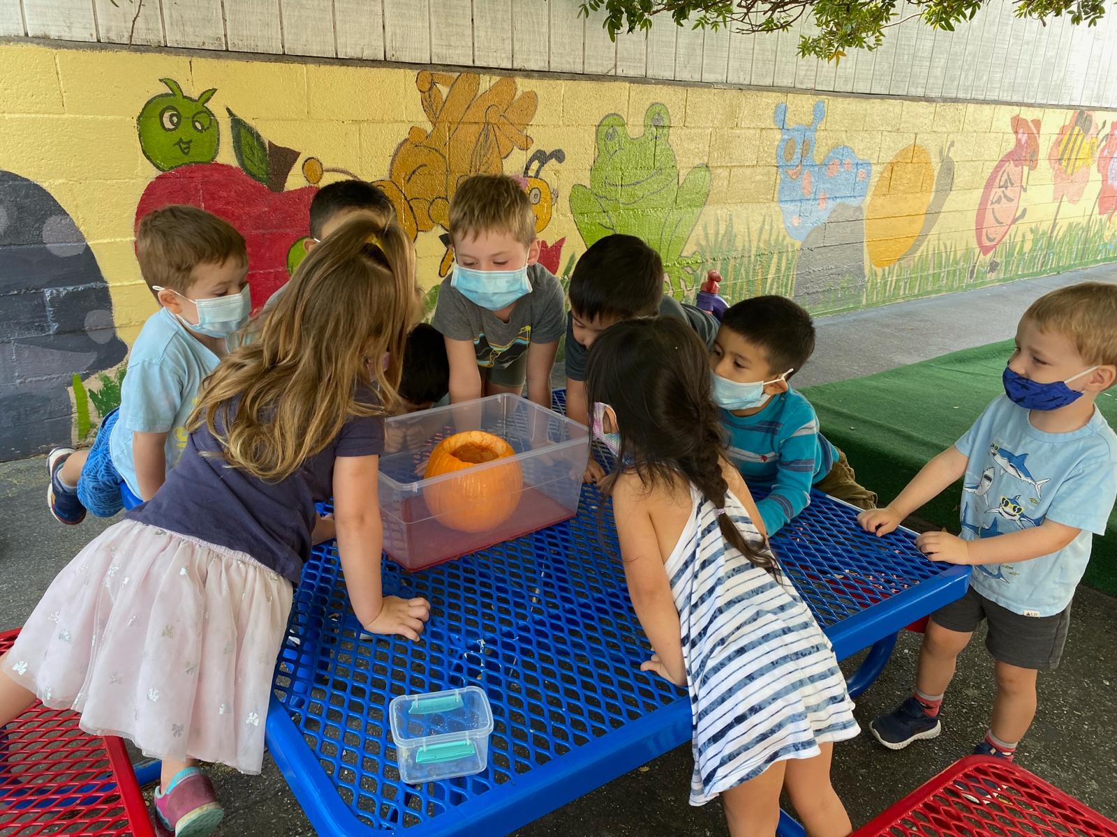 Preschool & Infant Care Programs Playhouse Redondo Beach