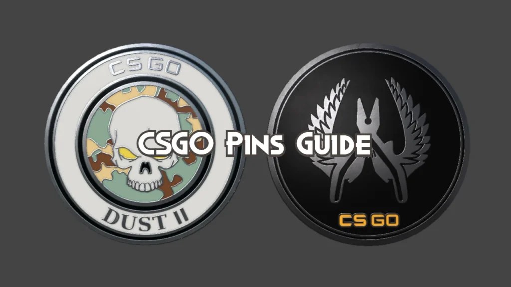 CS2 Pins Guide Playing History