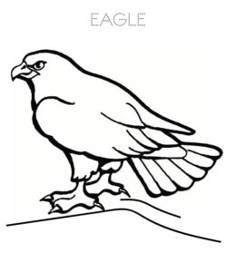 Bald Eagle Coloring Page Free Printable Coloring Pages