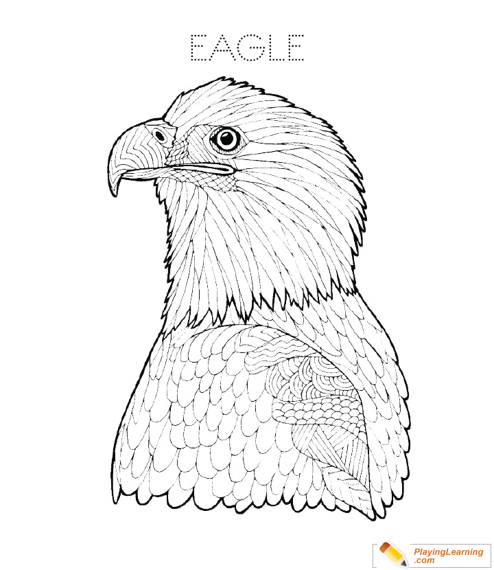 Golden Eagle Coloring Pages For Kids