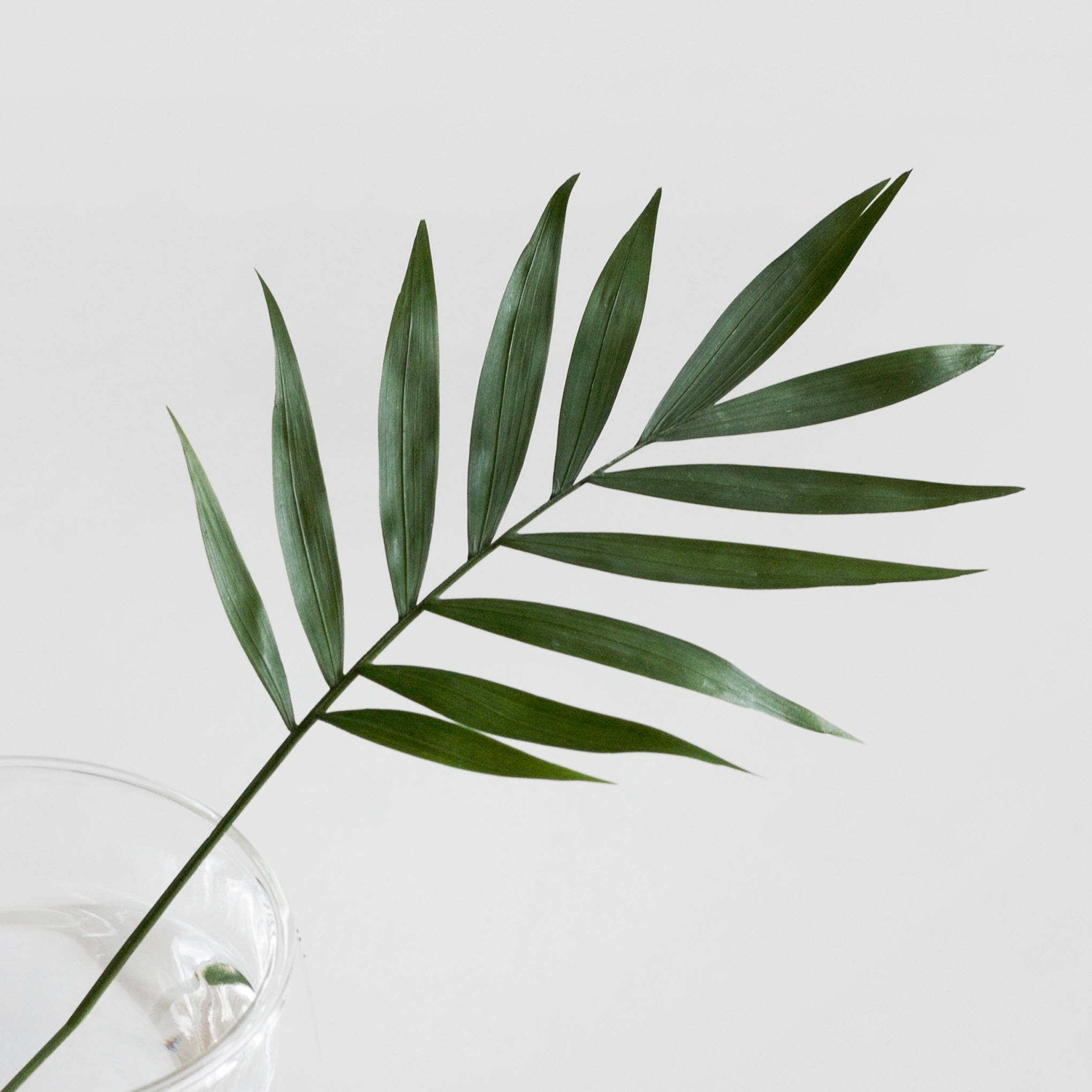 천수 프로필사진