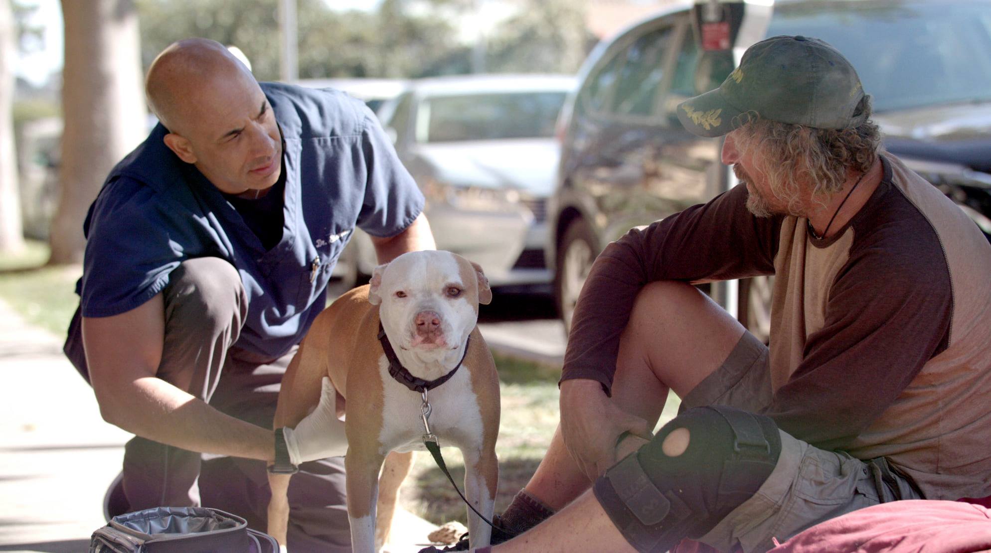 This "Street Vet" Helps the Homeless Care for Their Pets PlayJunkie