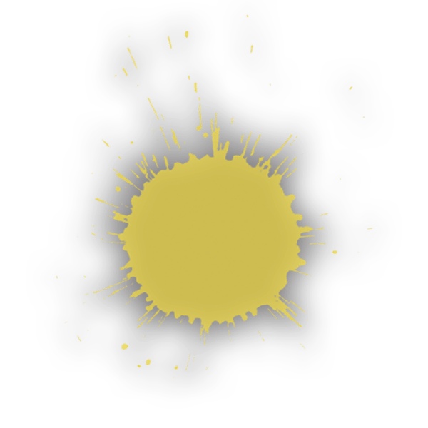 Petaluma Playland Sonoma County's Premier Action Games Venue