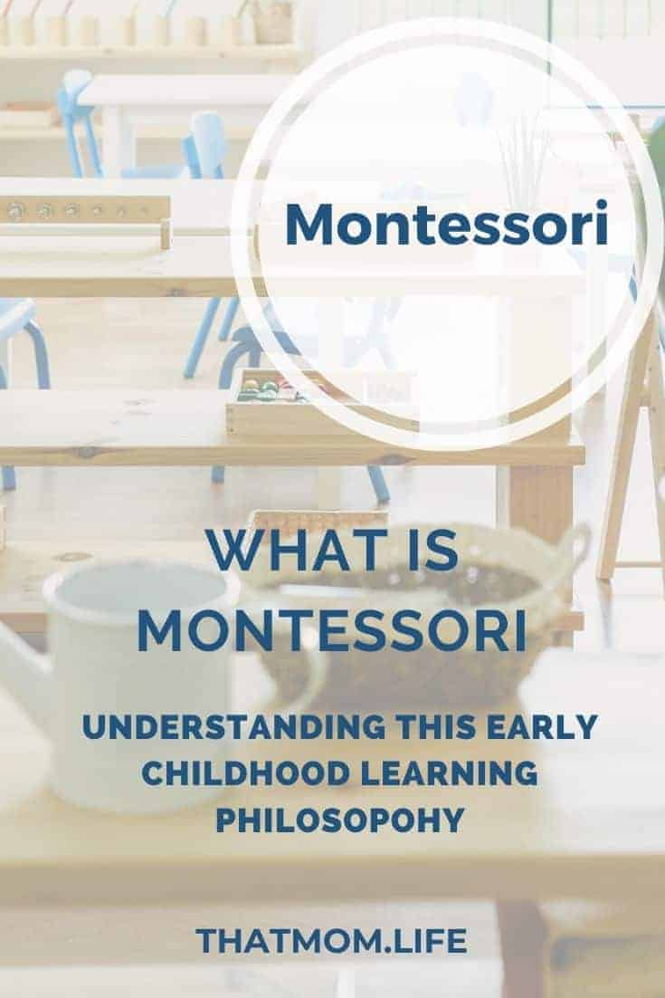 What is Montessori Understanding This Early Childhood Education