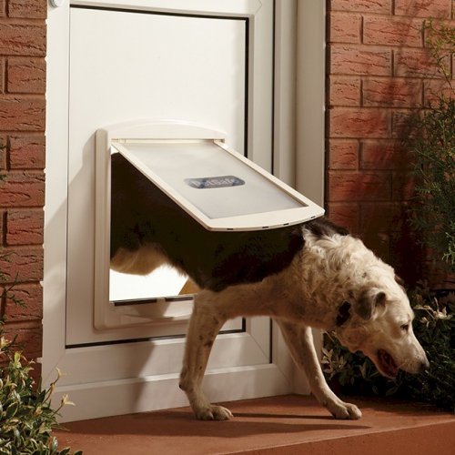 Pet Doors Adelaide Top 4 Benefits of Having Pet Doors Adelaide at Home