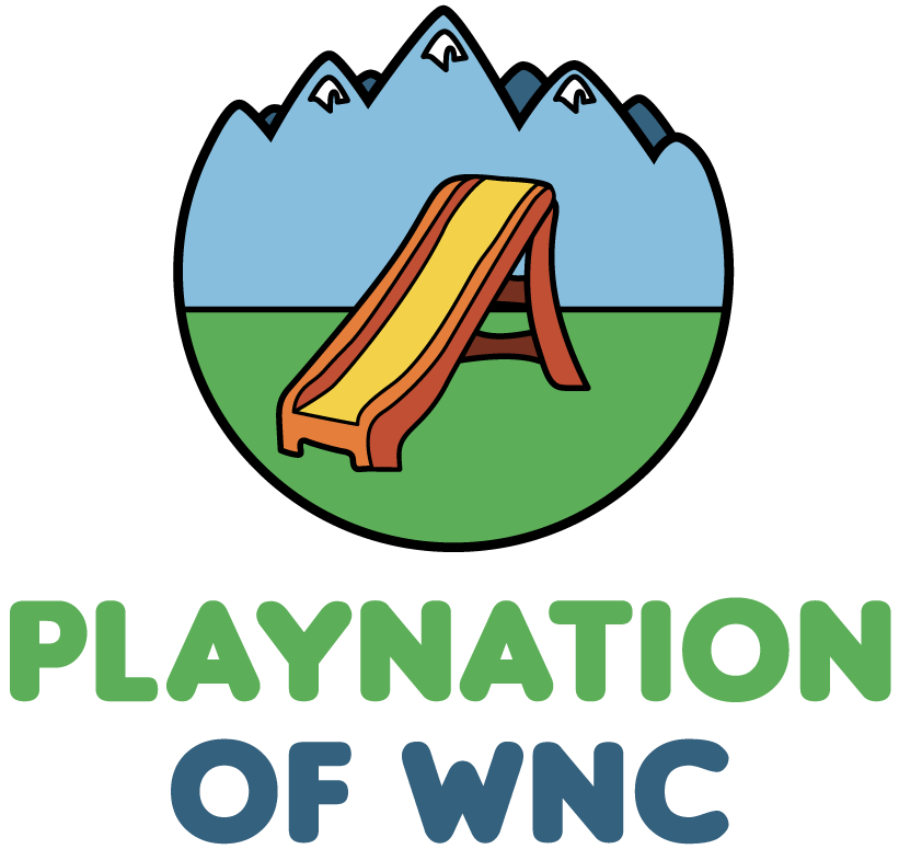 PlayNation of WNC Asheville Swing Sets Playgrounds Play Sets