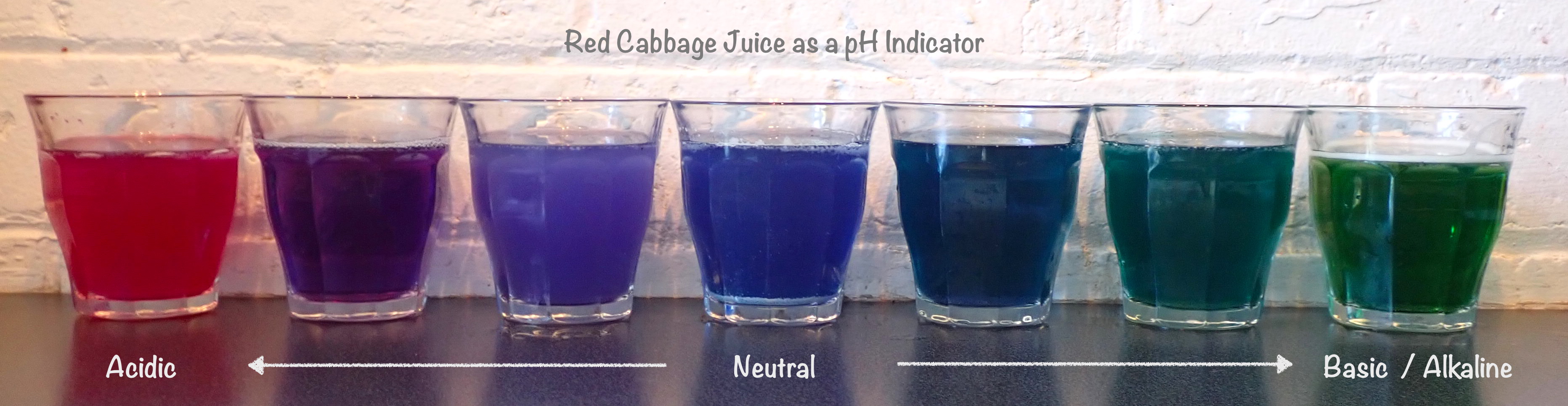What is Ph for Kids- Acid and Base Experiment – Play of the Wild