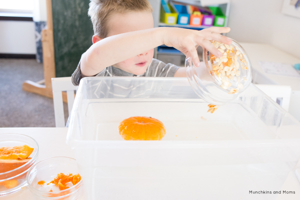 Pumpkin Sink or Float Science – Munchkins and Moms