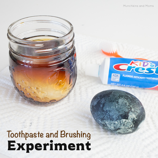 Toothpaste and Brushing Experiment – Munchkins and Moms