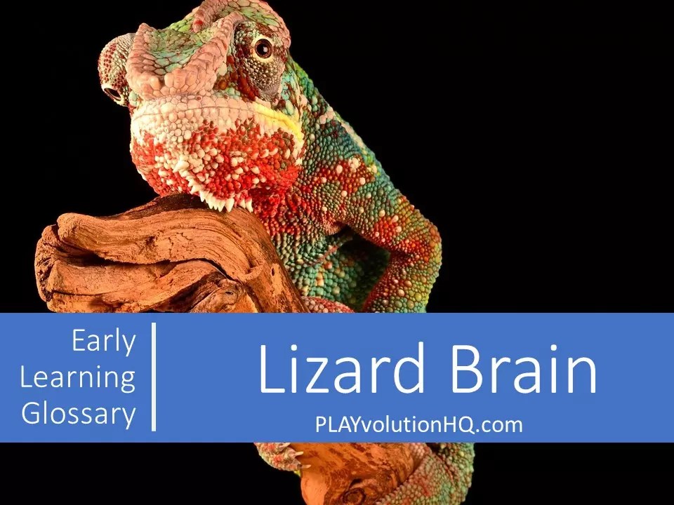 Lizard Brain Playvolution HQ