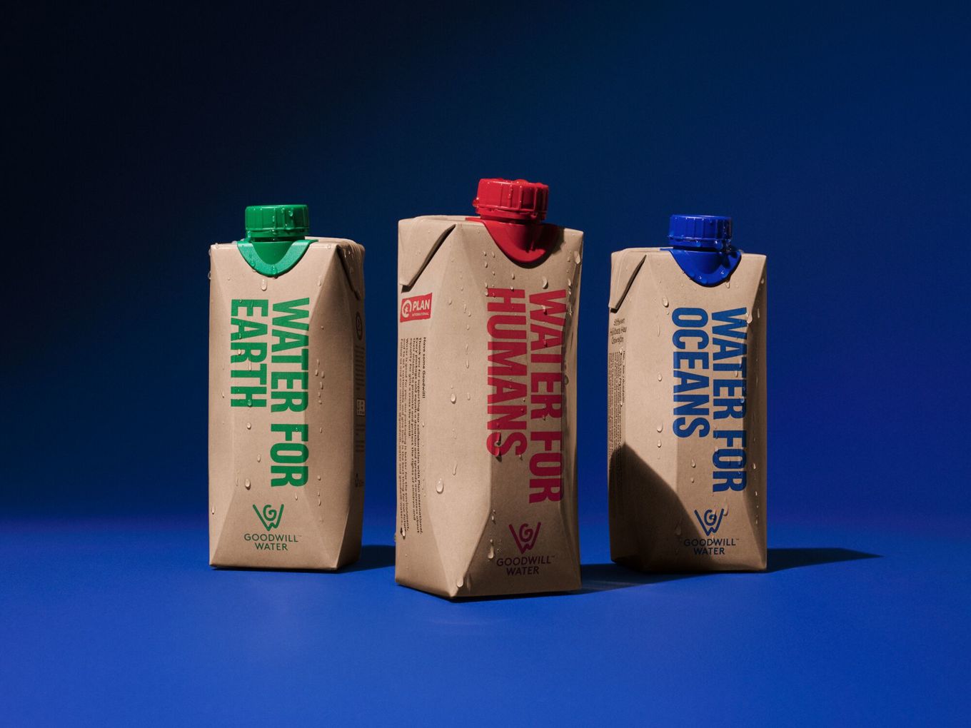 Goodwill Water Plaza Kvinna