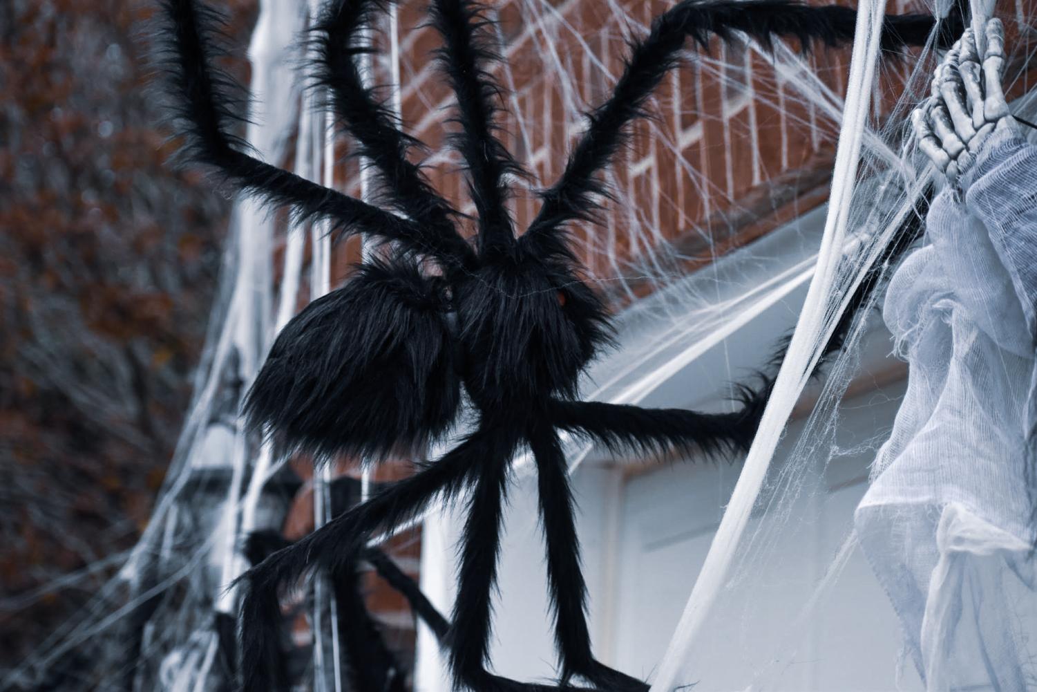 MustSee Halloween Decorations Lamplighter Media Productions