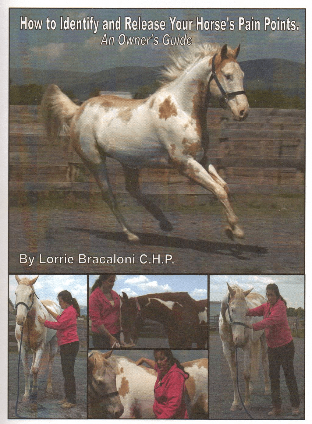How to Identify & Release Your Horses Pain Points eBooks Pets