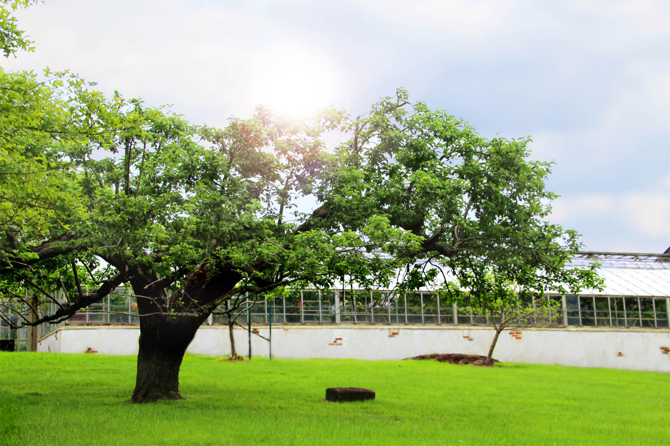 The Farm at Pleasantdale Chateau Pleasantdale Chateau