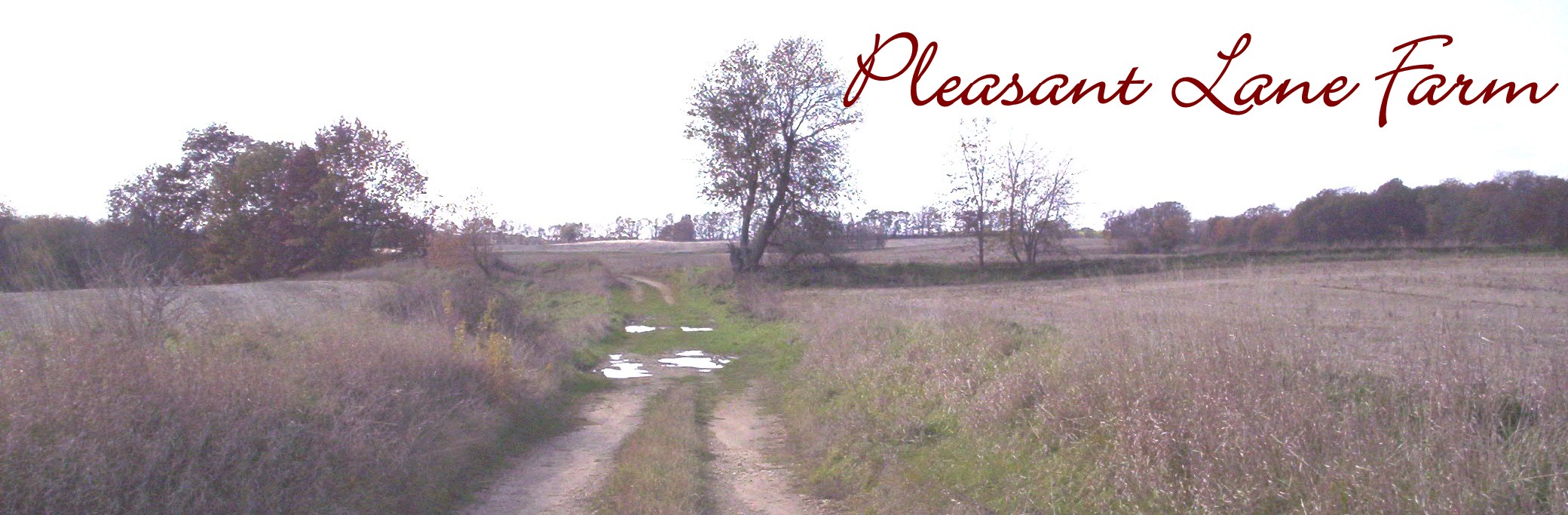 Pleasant Lane Farm Home