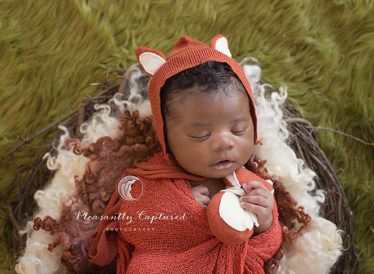Handsome 19 day old baby boy Baby Photographer Jacksonville