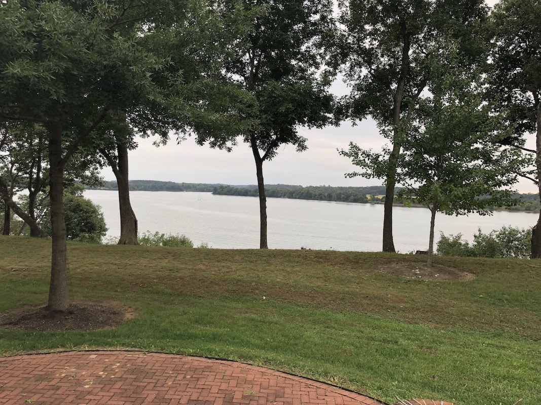 Tree Trimming Pleasant Trees LLC Annapolis Maryland